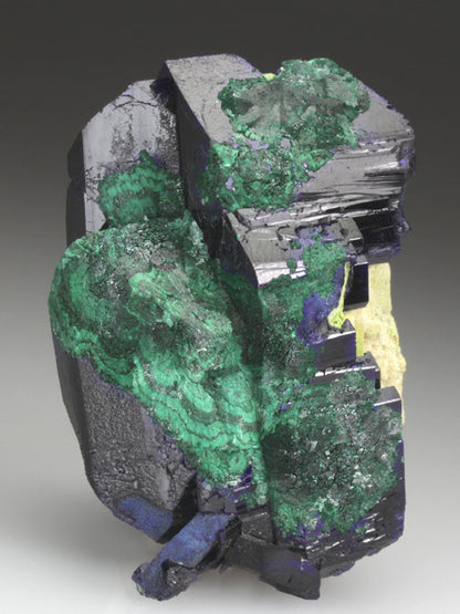 CC4320 specimen image