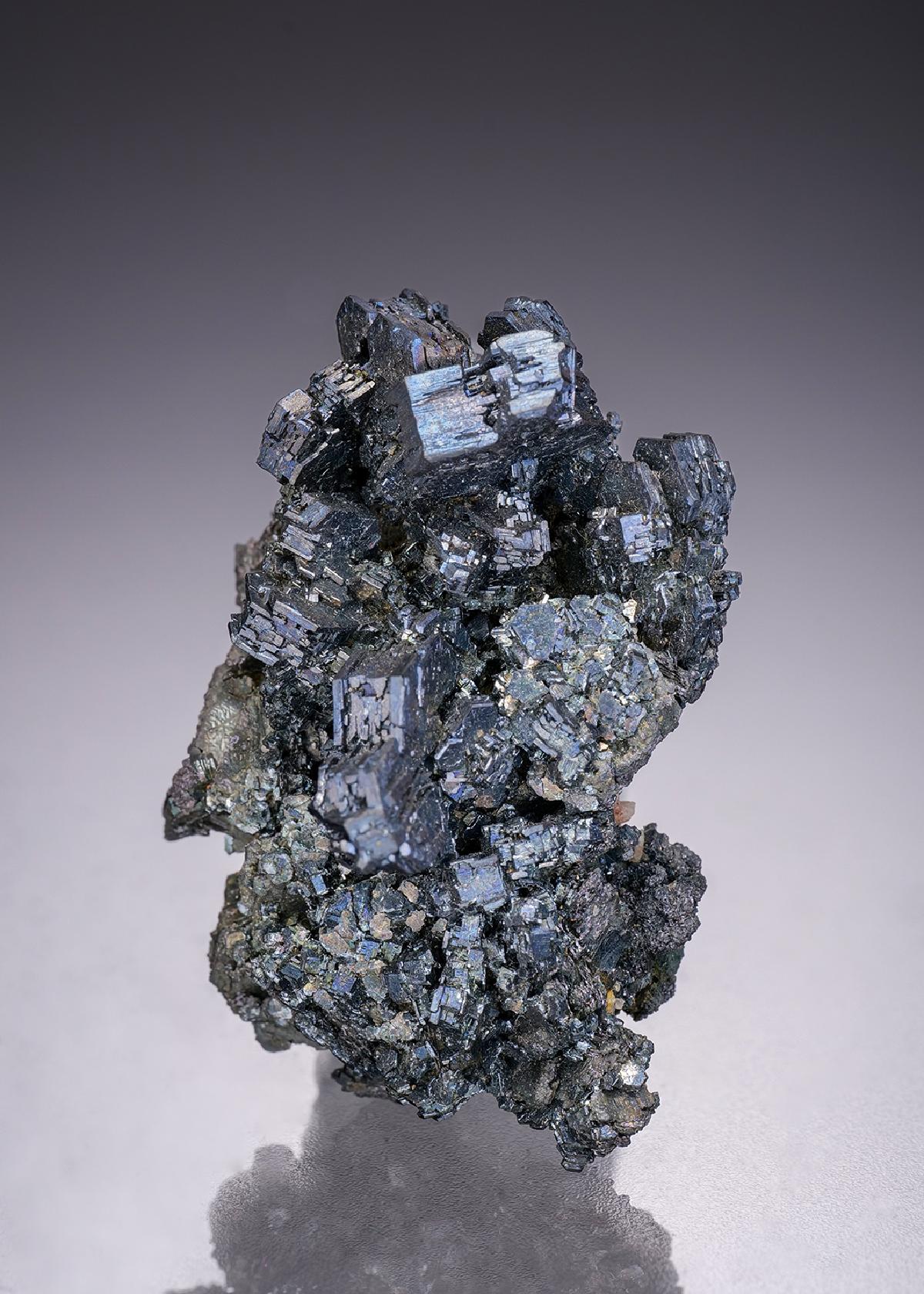 CC4347 specimen image