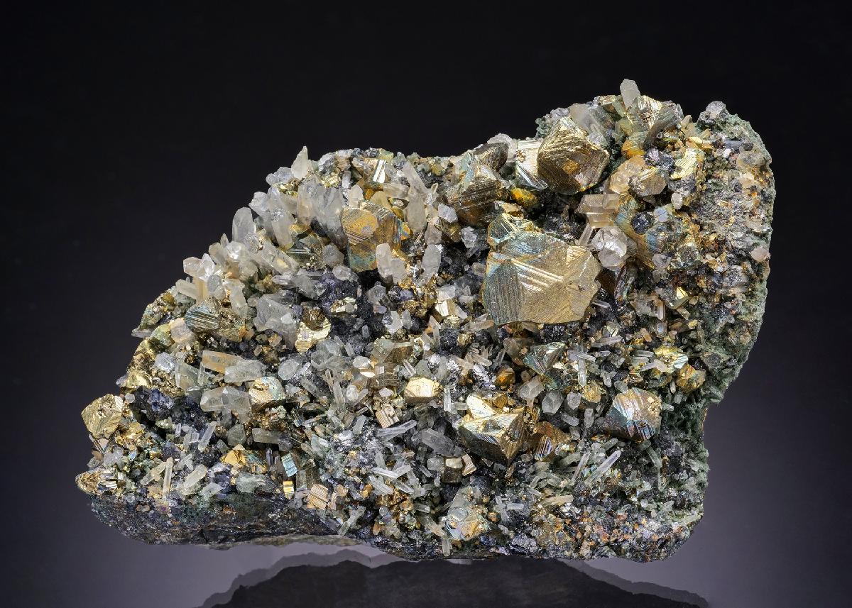 CC43494 specimen image
