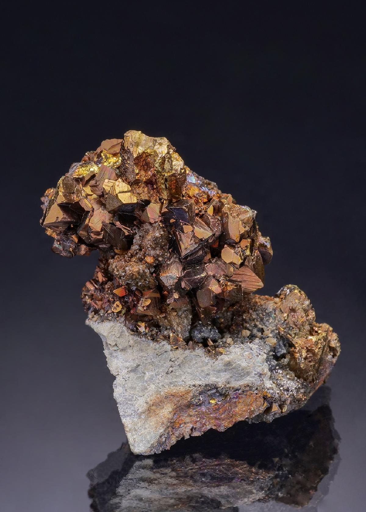 CC43498 specimen image