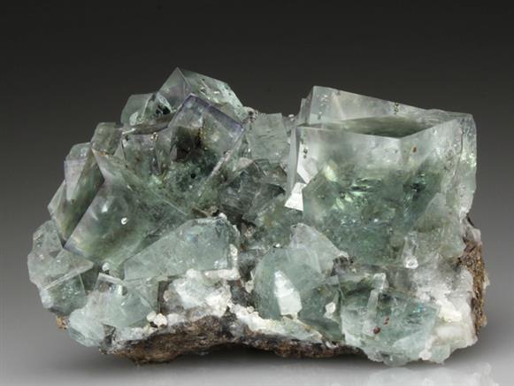 CC4350 specimen image