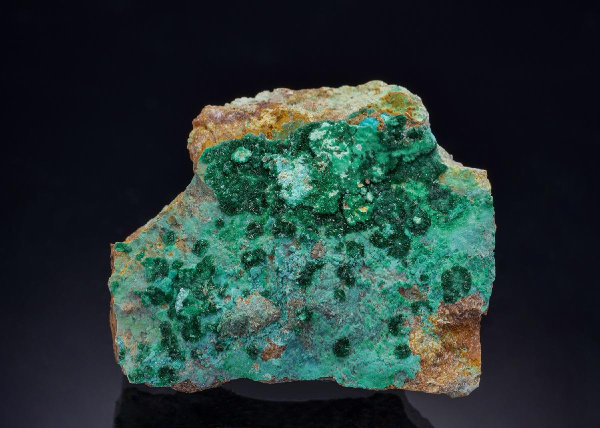 CC43500 specimen image