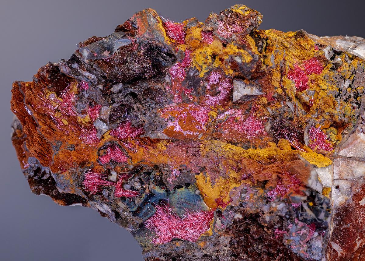 CC4351 specimen image