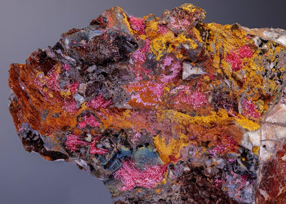 CC4351 specimen image