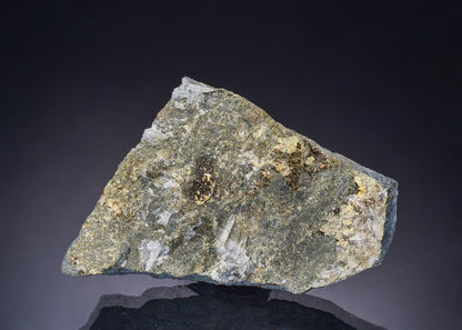 CC43518 specimen image