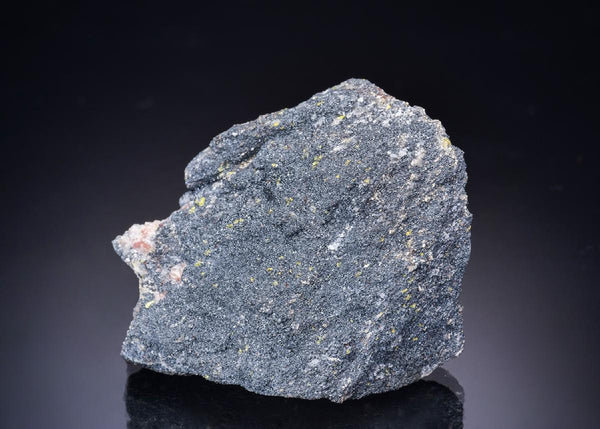 CC43522 specimen image