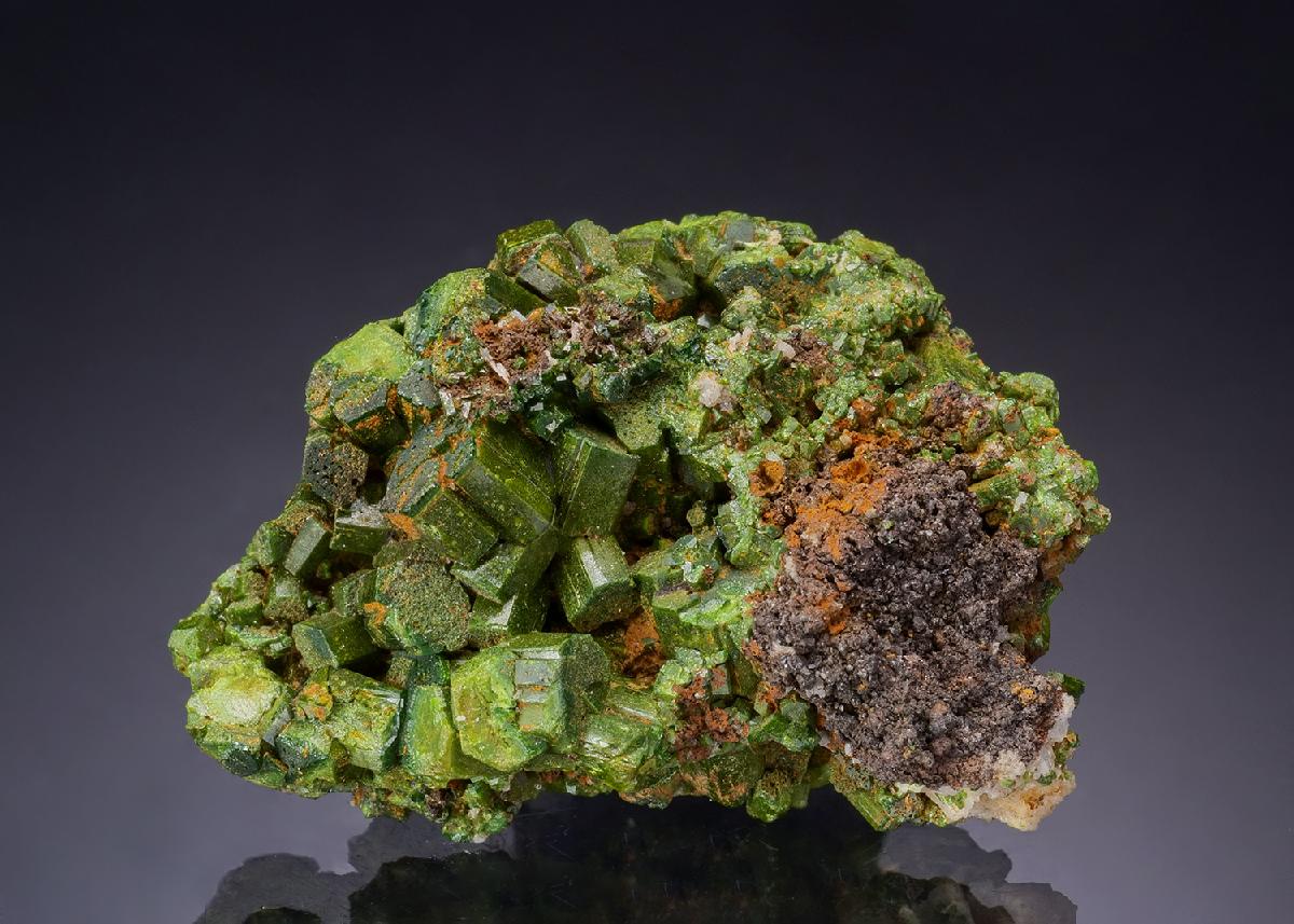 CC43526 specimen image