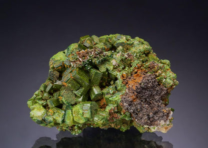 CC43526 specimen image