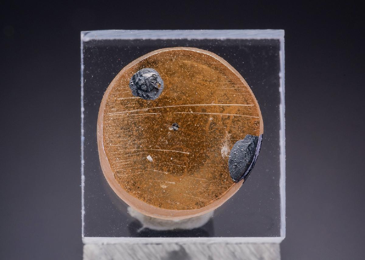 CC43530 specimen image