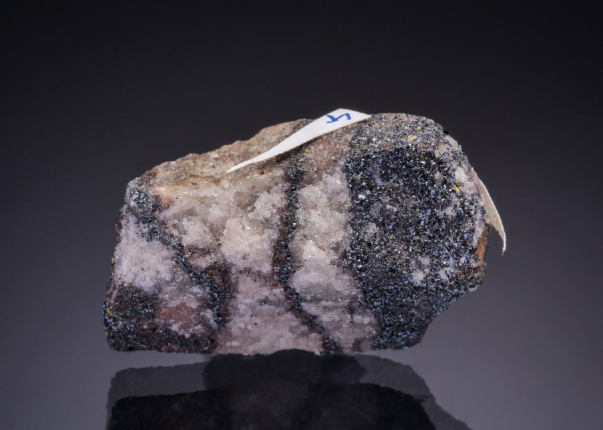 CC43540 specimen image