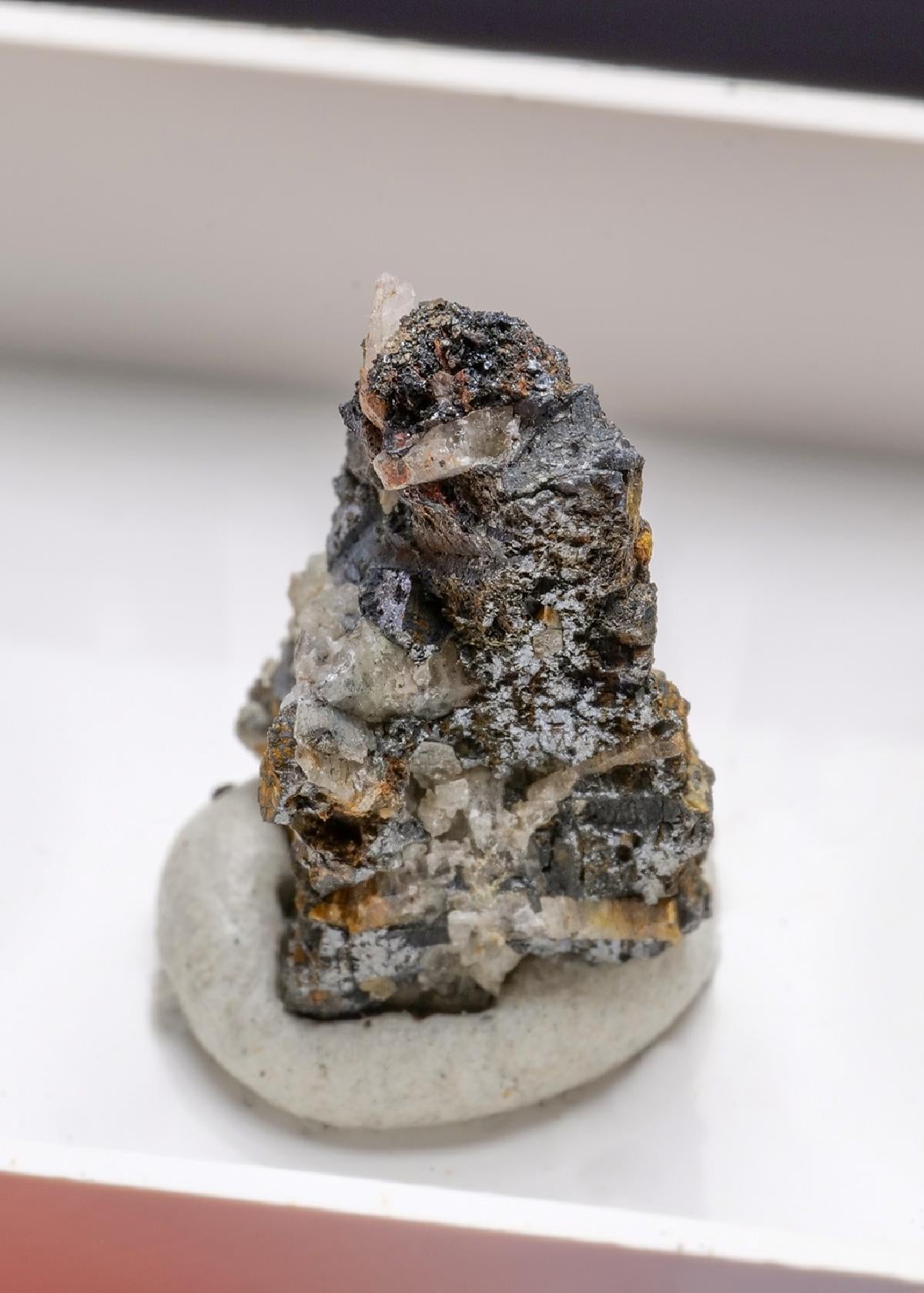 CC43544 specimen image