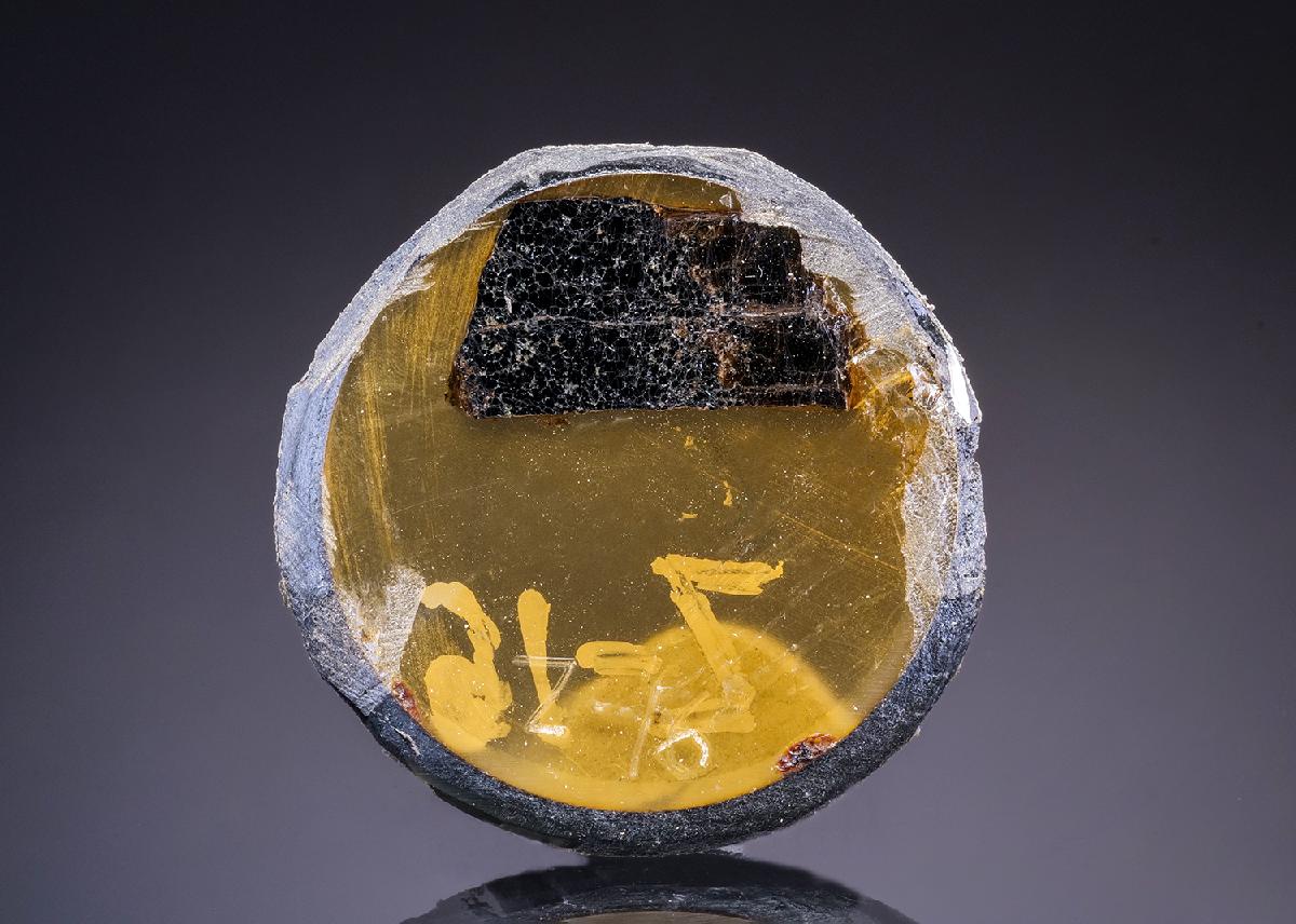 CC43550 specimen image