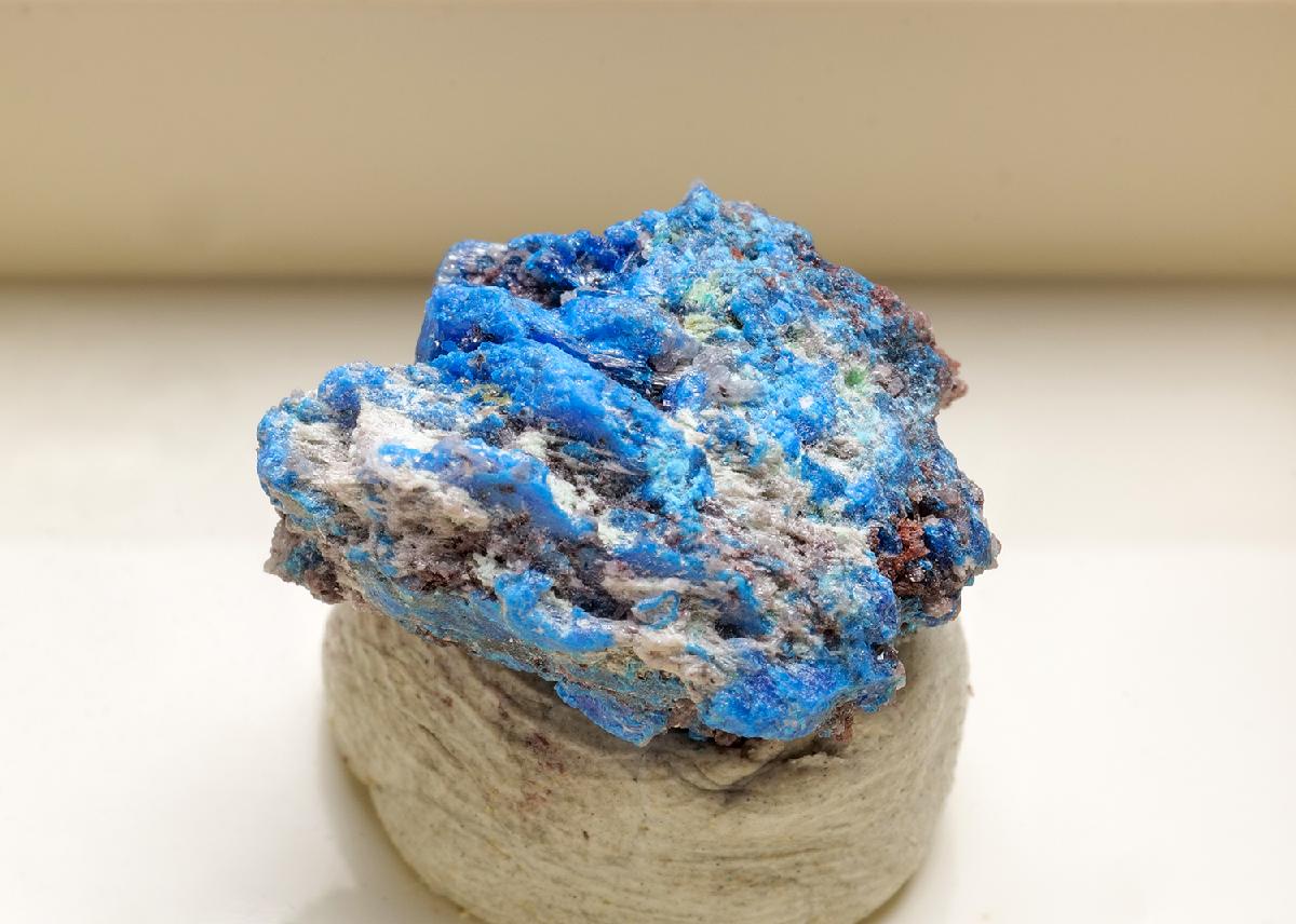 CC43560 specimen image