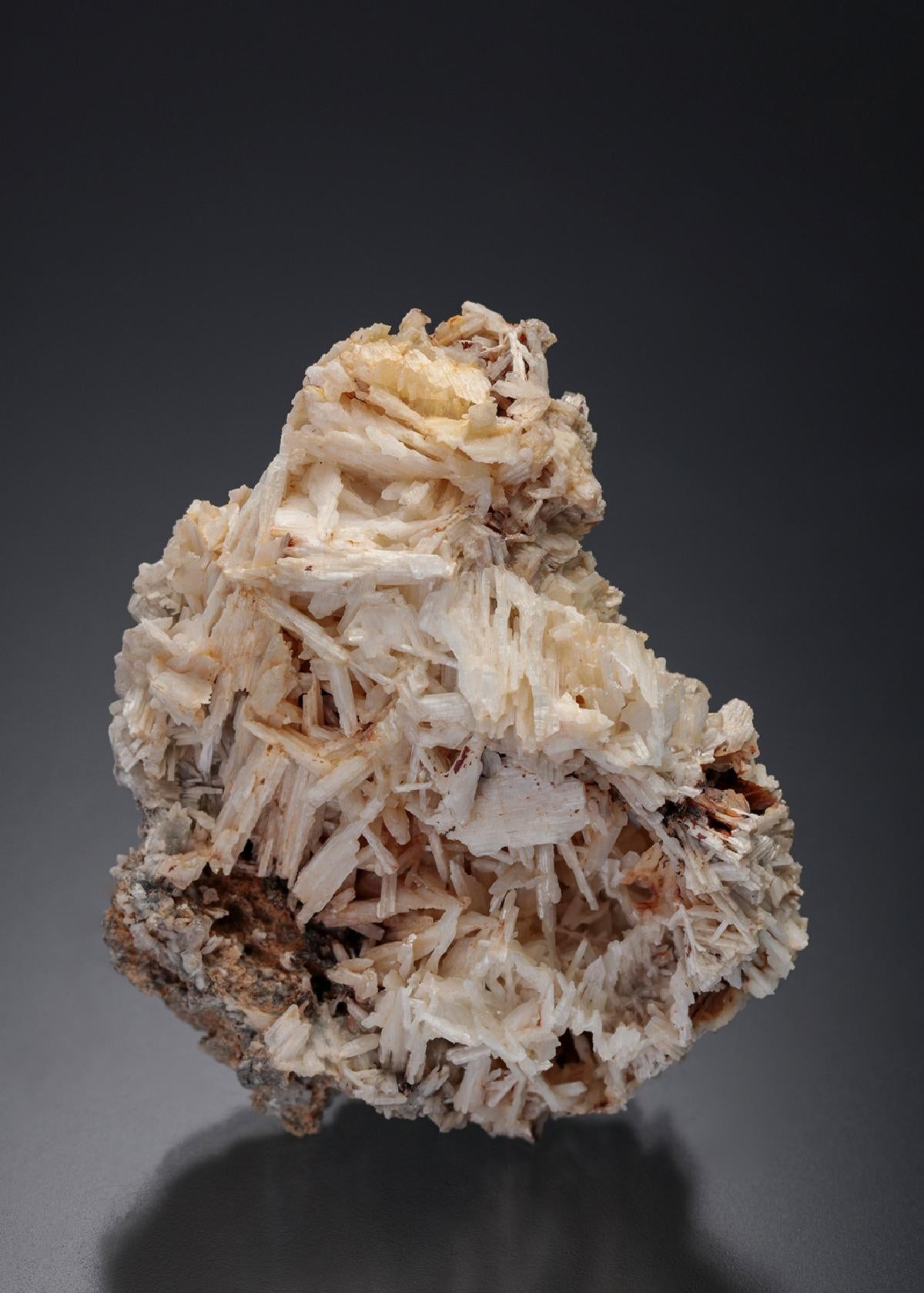 CC4357 specimen image