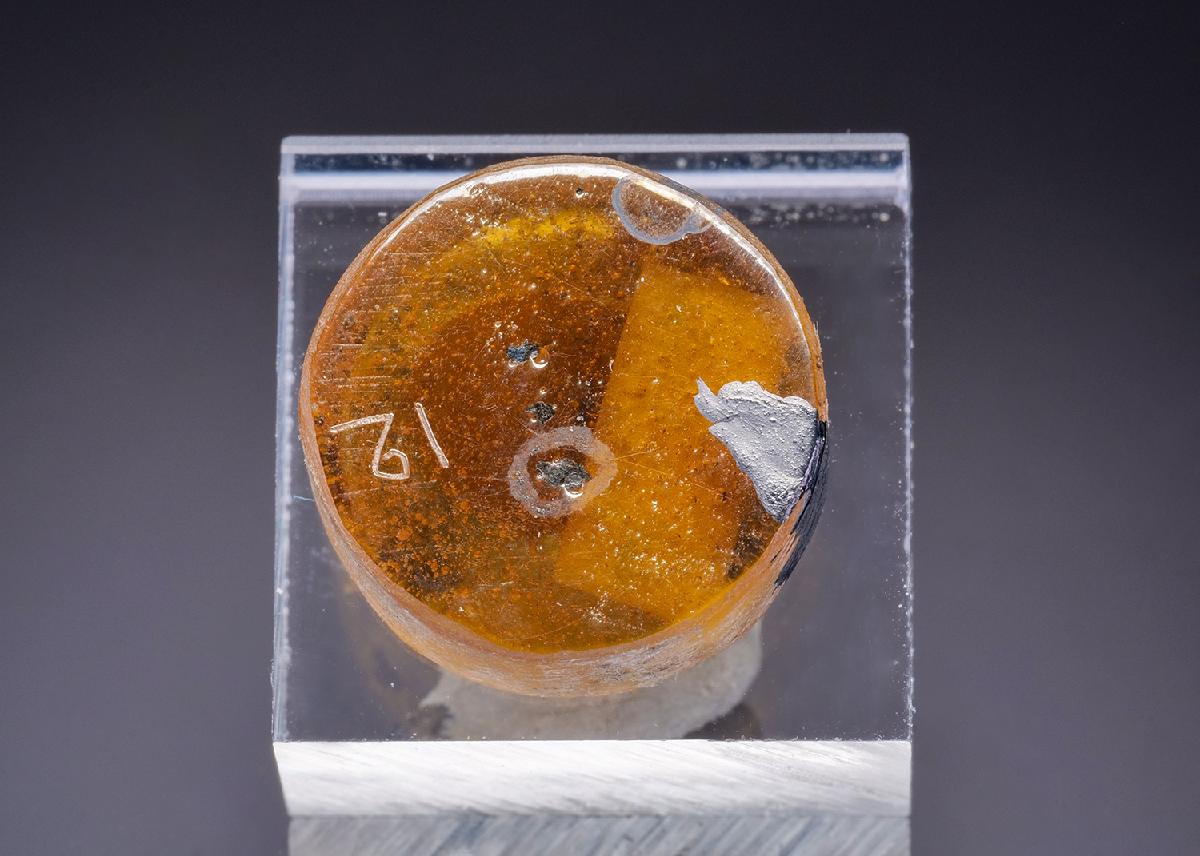 CC43570 specimen image
