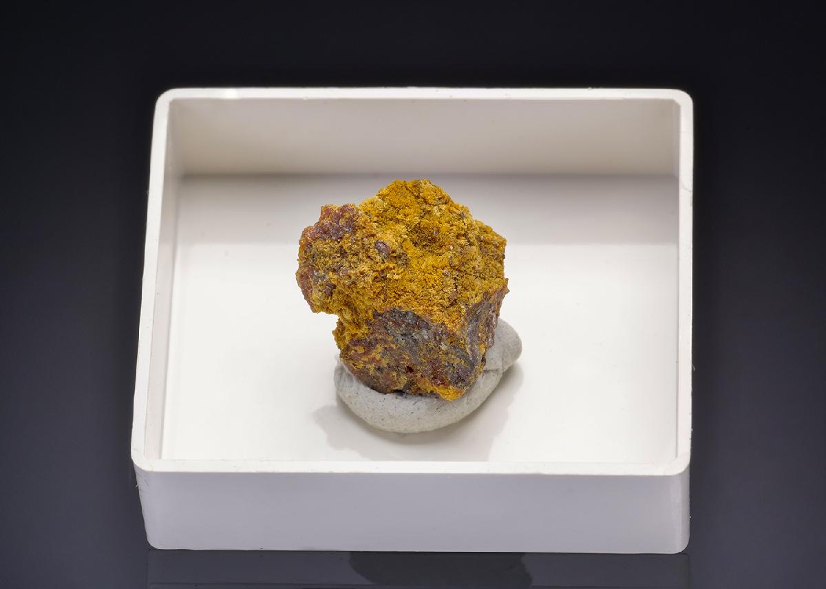 CC43572 specimen image