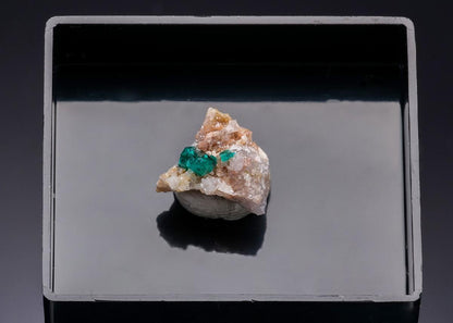 CC43604 specimen image