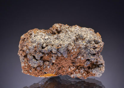 CC43620 specimen image
