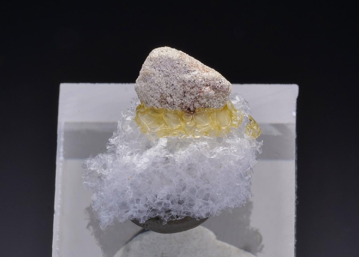 CC43622 specimen image