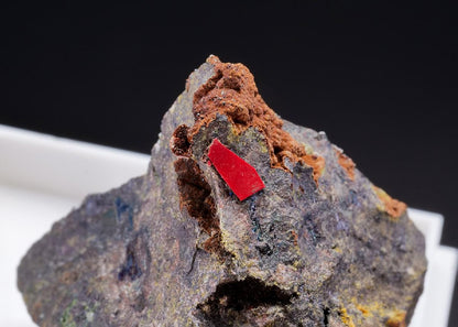 CC43626 specimen image