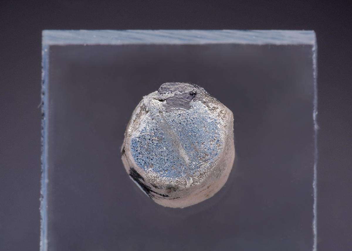CC43644 specimen image
