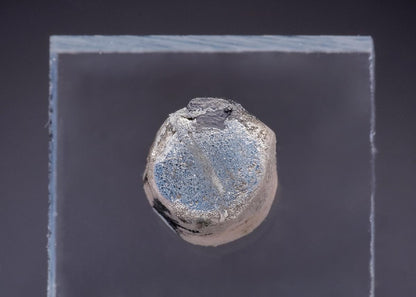 CC43644 specimen image
