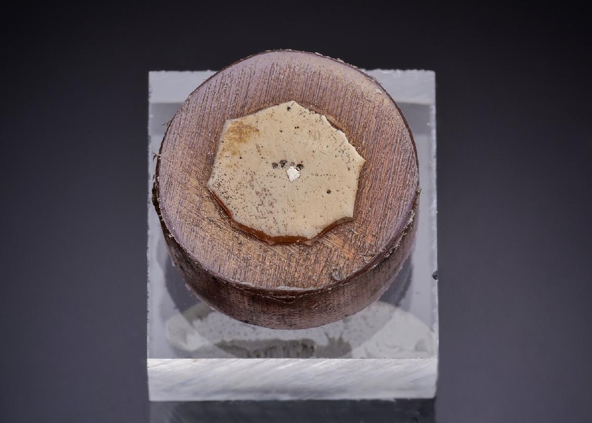 CC43646 specimen image