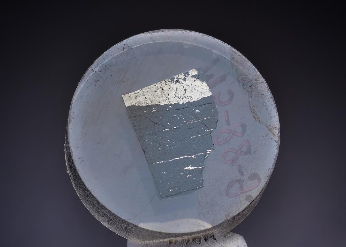 CC43652 specimen image