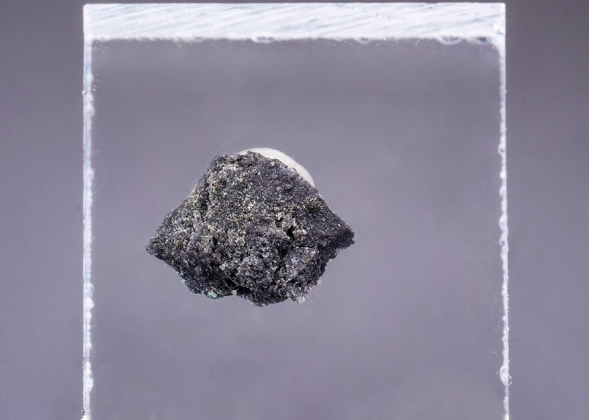 CC43660 specimen image