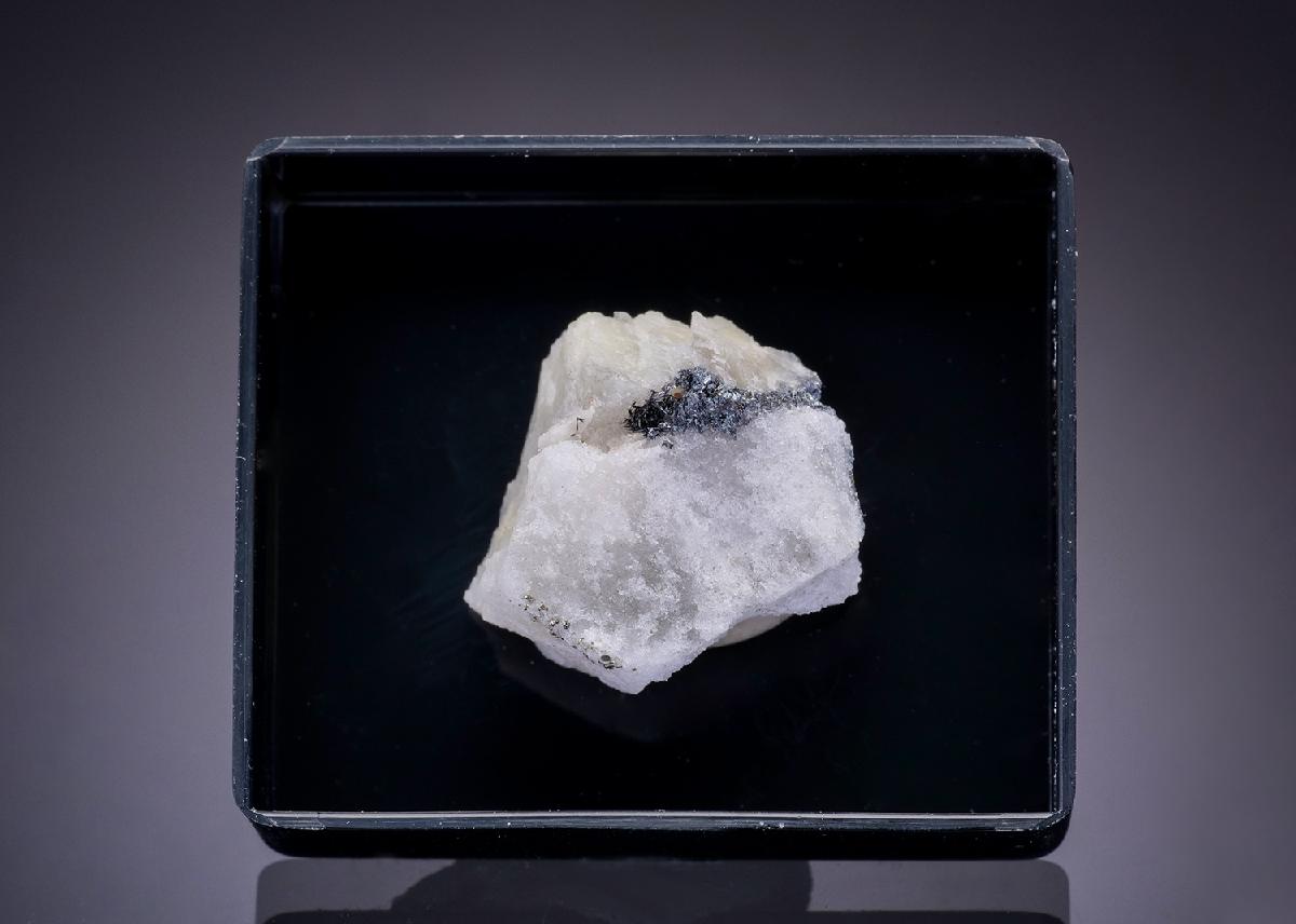 CC43662 specimen image