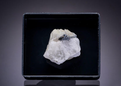 CC43662 specimen image