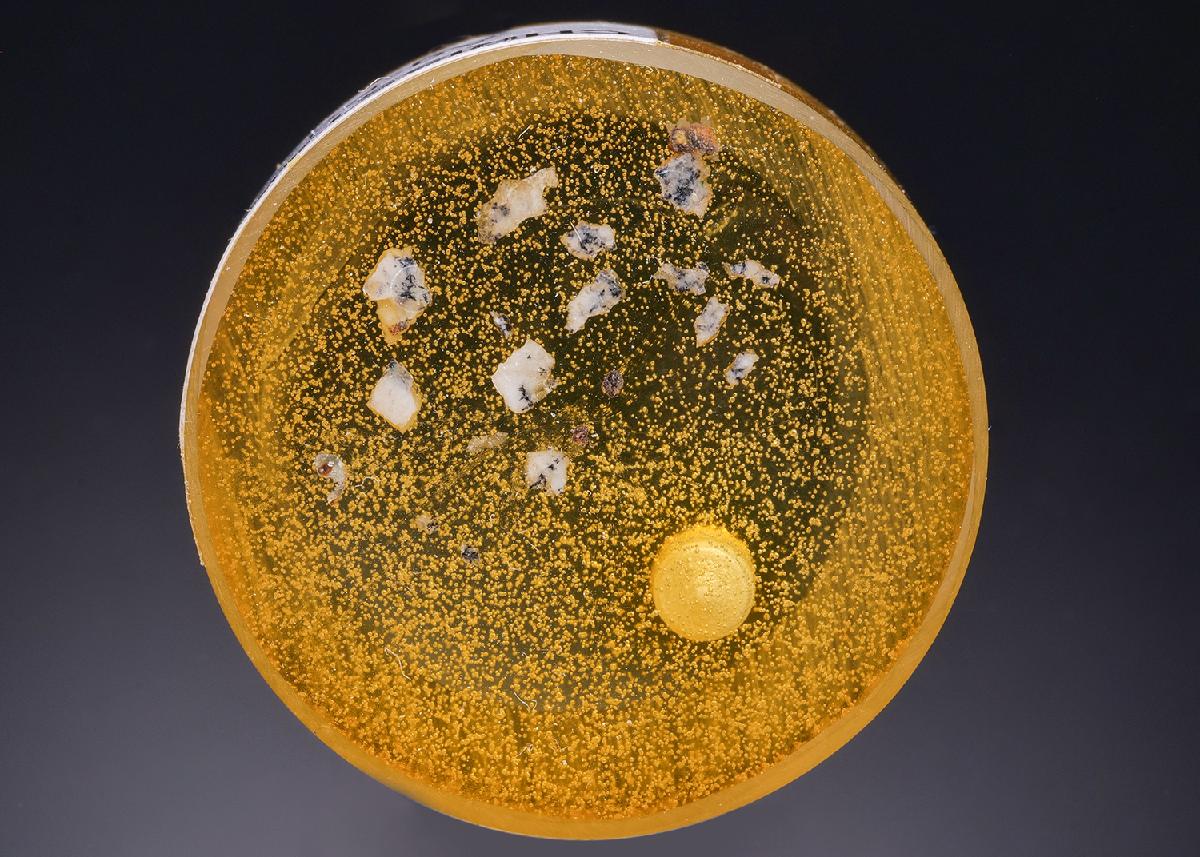 CC43672 specimen image