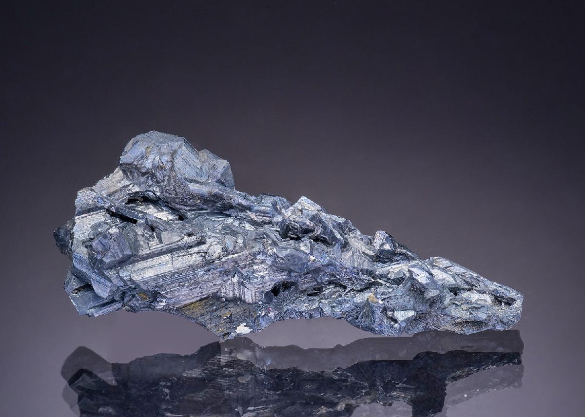 CC43676 specimen image