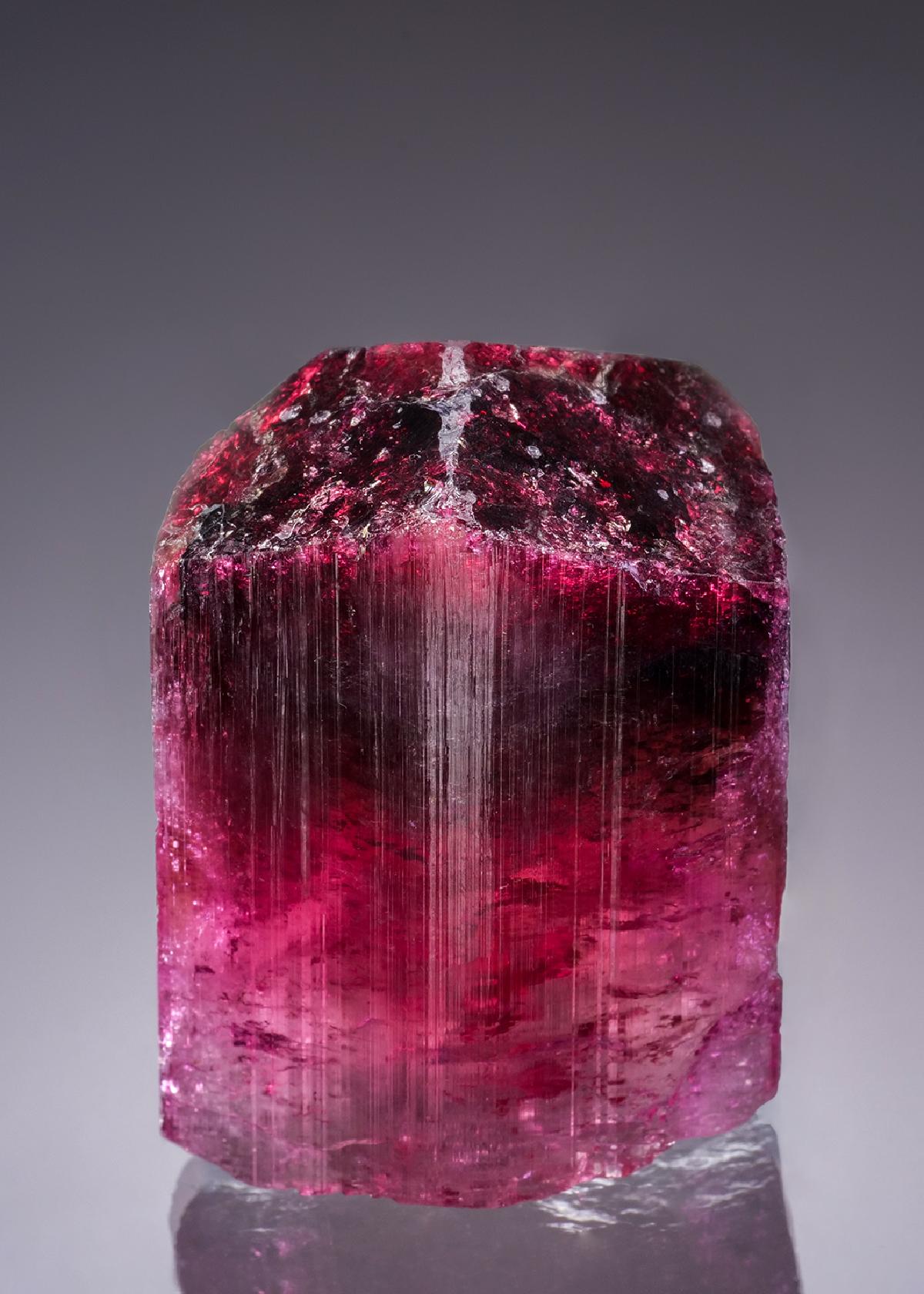 CC43704 specimen image