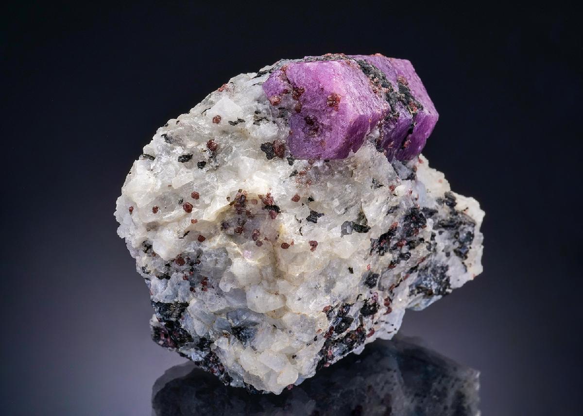CC43712 specimen image