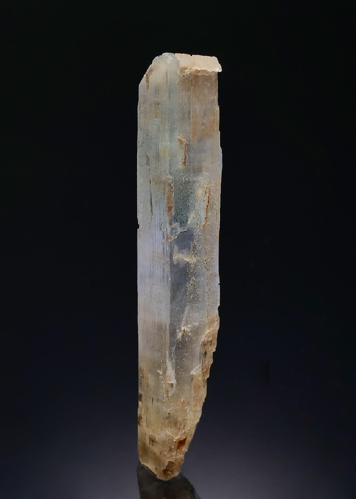 CC43718 specimen image