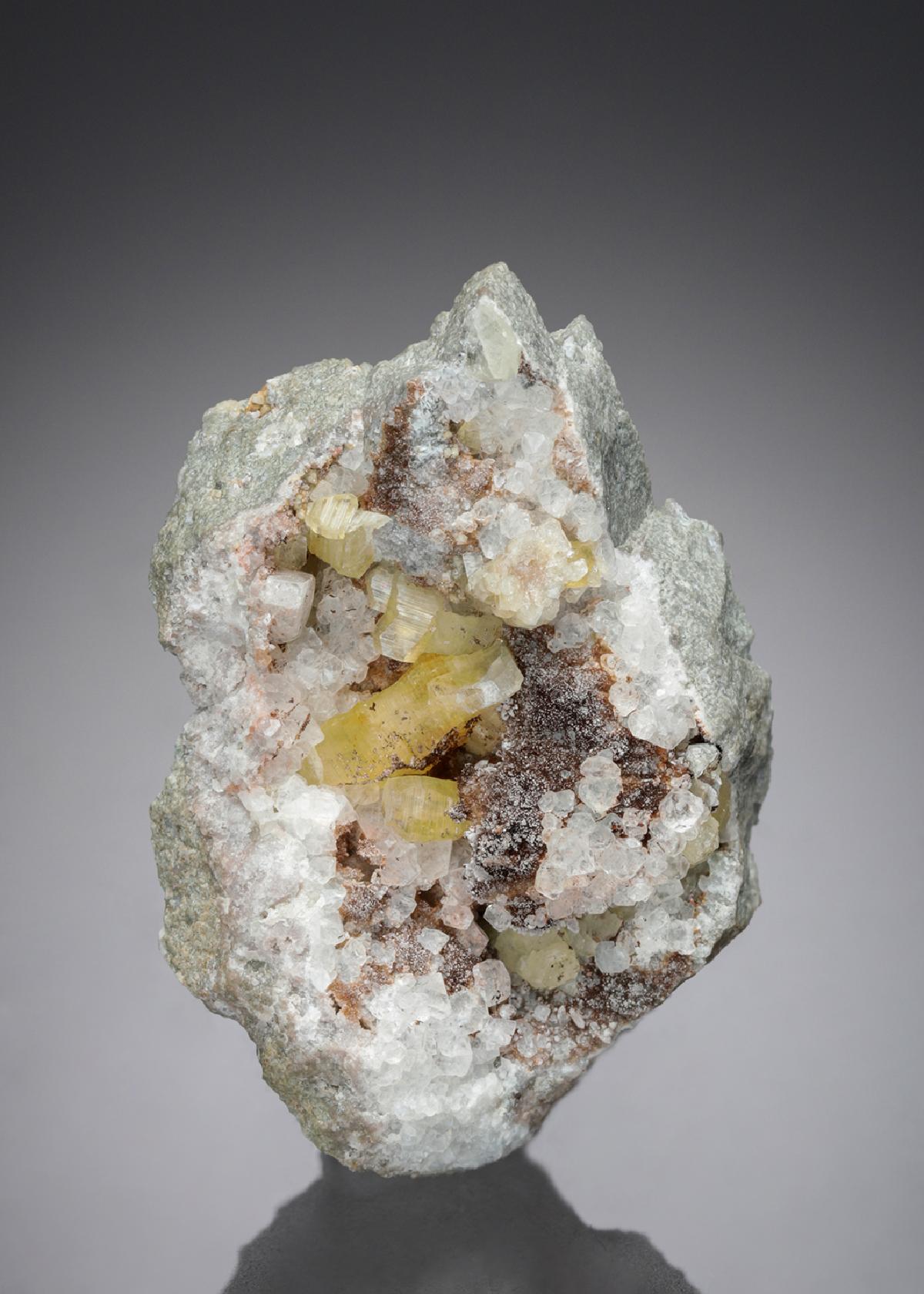 CC43726 specimen image