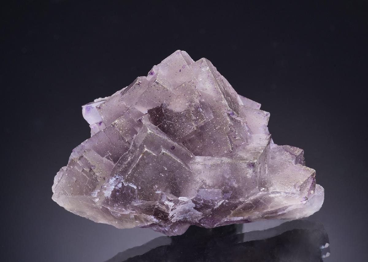 CC43736 specimen image