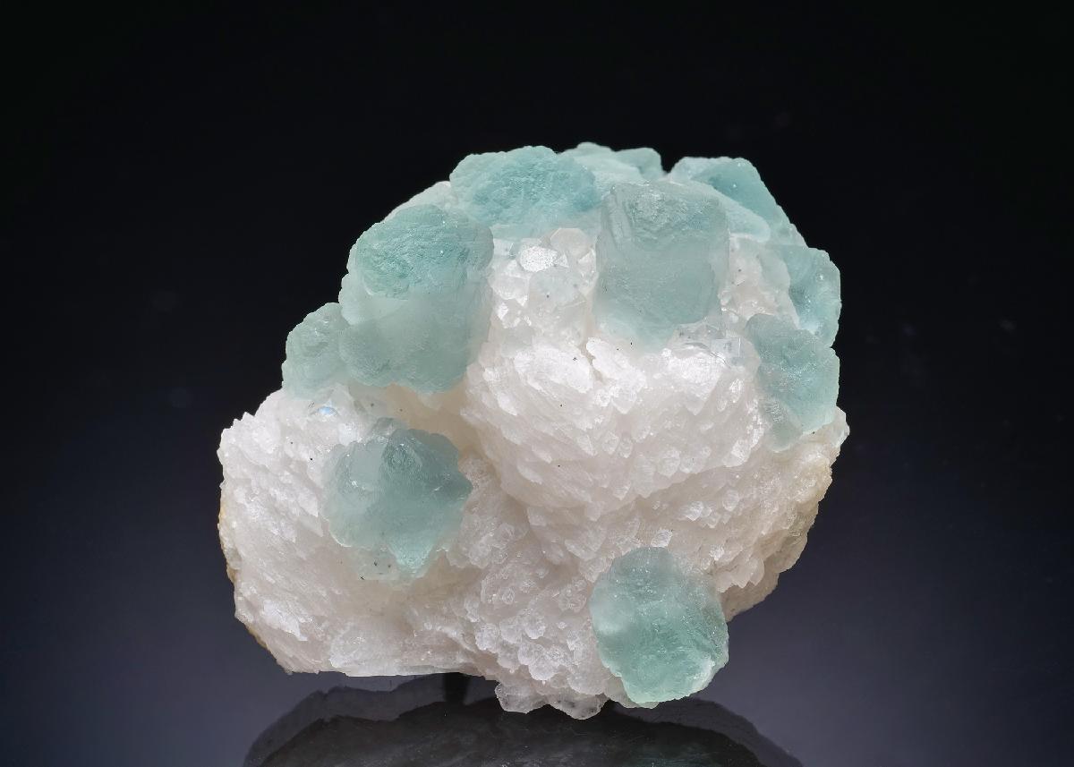 CC43752 specimen image