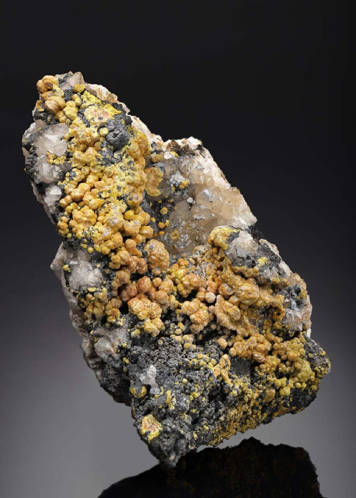CC4376 specimen image