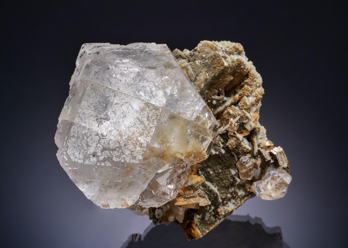 CC43780 specimen image