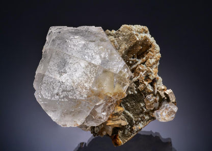 CC43780 specimen image