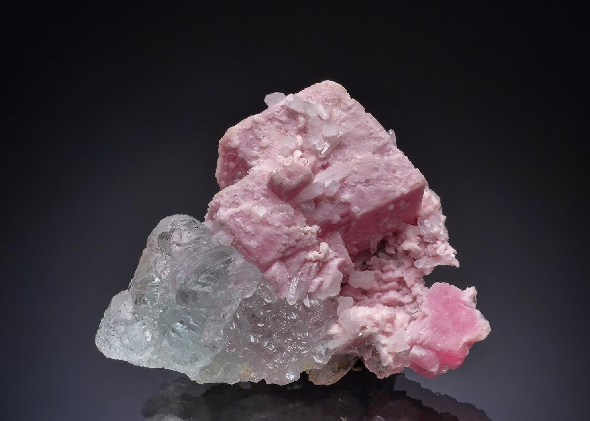 CC43794 specimen image
