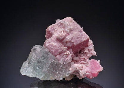 CC43794 specimen image