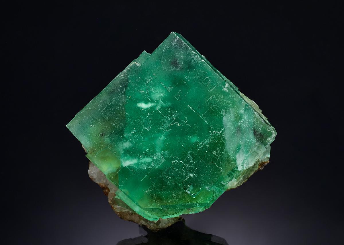 CC43798 specimen image