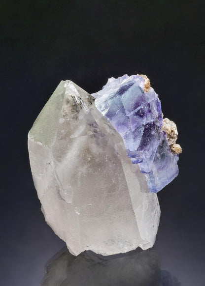 CC43802 specimen image