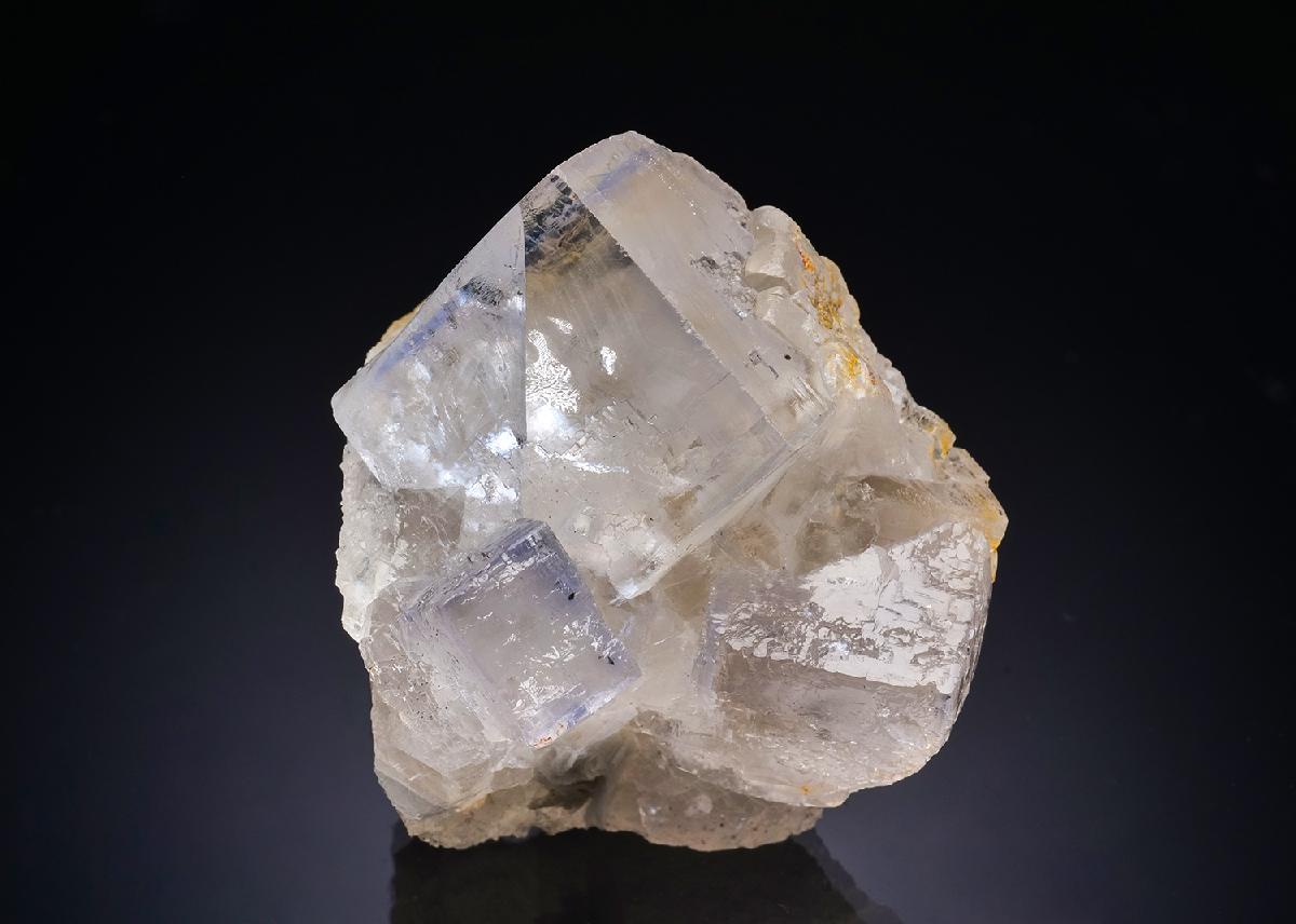 CC43804 specimen image