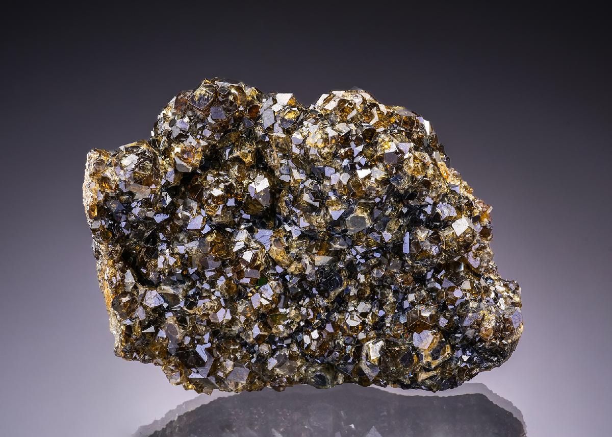CC43826 specimen image