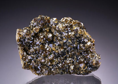 CC43826 specimen image