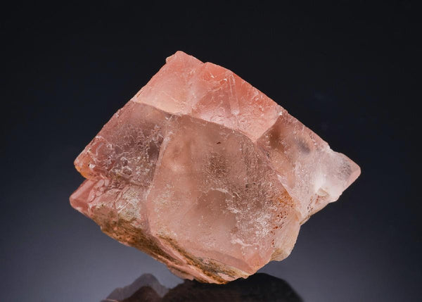 CC43844 specimen image